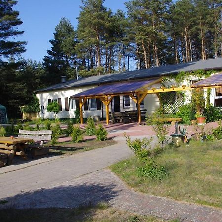 Hostel Waldhaus Am Ferienpark Mirow -Zimmer Du Wc Экстерьер фото